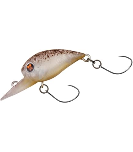 Amazon | ダイワ(DAIWA) プレッソ ワブクラJr. 25DR-F ホットチャート